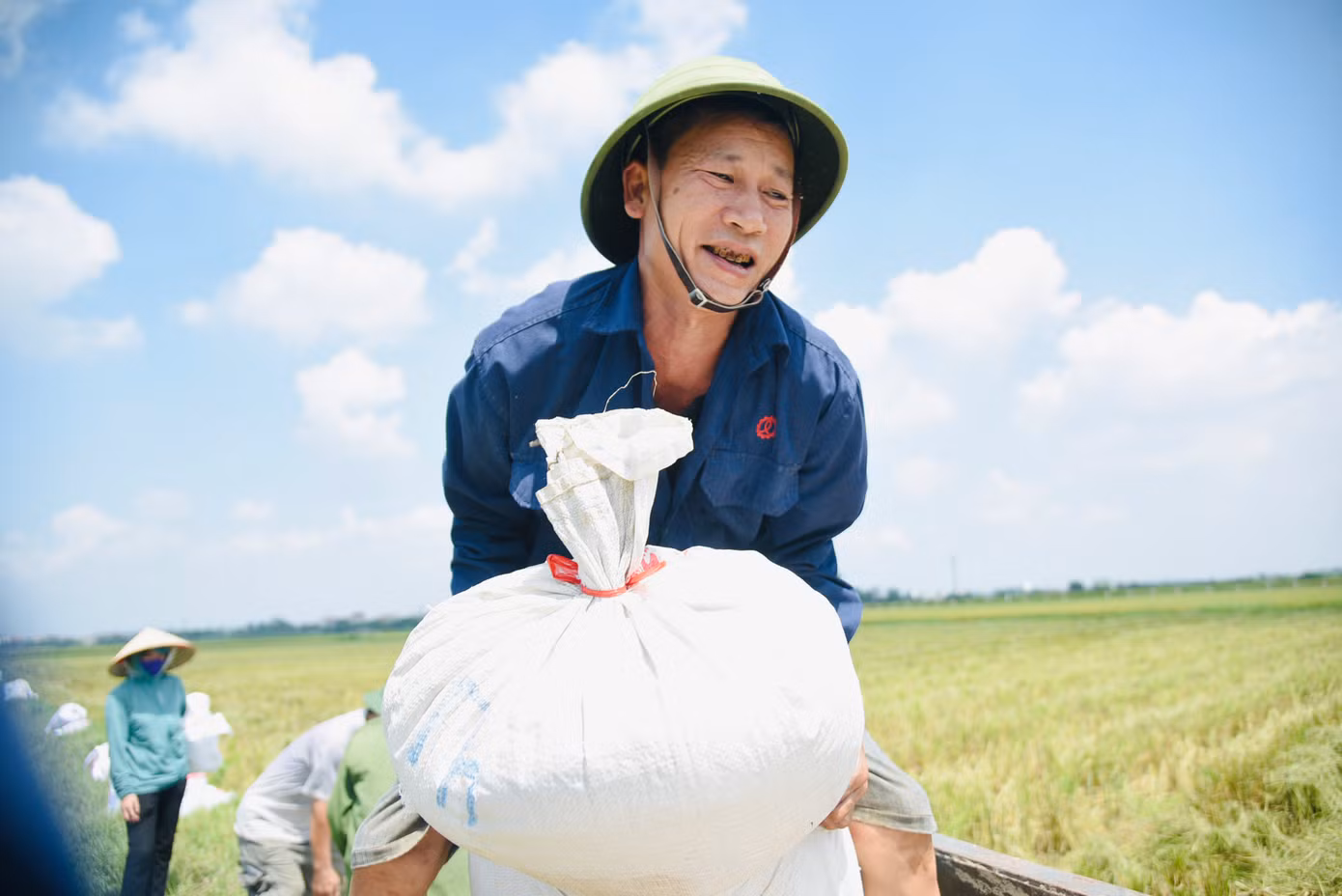 Còn đàn ông làm nhiệm vụ bó lúa và vận chuyển về nhà. Còn đàn ông làm nhiệm vụ bó lúa và vận chuyển về nhà.
