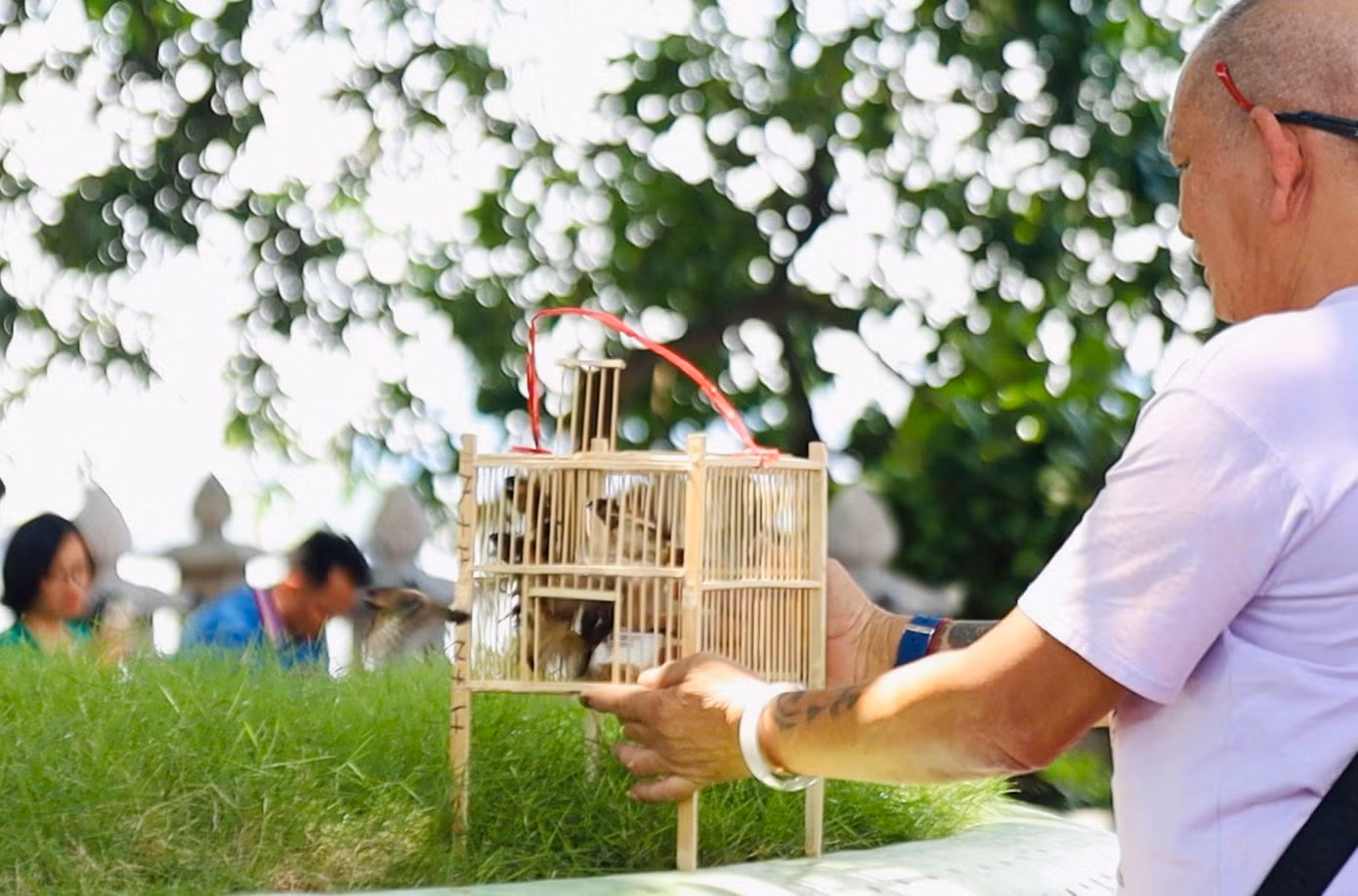 Tại chùa Trấn Quốc, nhiều người dân lựa chọn phóng sinh mong cầu ân đức hiếu tử, đức từ bi theo tôn chỉ nhà Phật. Theo quan niệm dân gian, phóng sinh chính là làm việc thiện và người phóng sinh sẽ được tích đức, nhận lại nhiều may mắn.