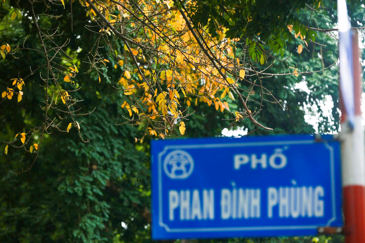 Góc phố cuối đường Hoàng Hoa Thám kéo dài tới đường Phan Đình Phùng với hàng cây thay màu lá vàng bắt mắt. Góc phố cuối đường Hoàng Hoa Thám kéo dài tới đường Phan Đình Phùng với hàng cây thay màu lá vàng bắt mắt.