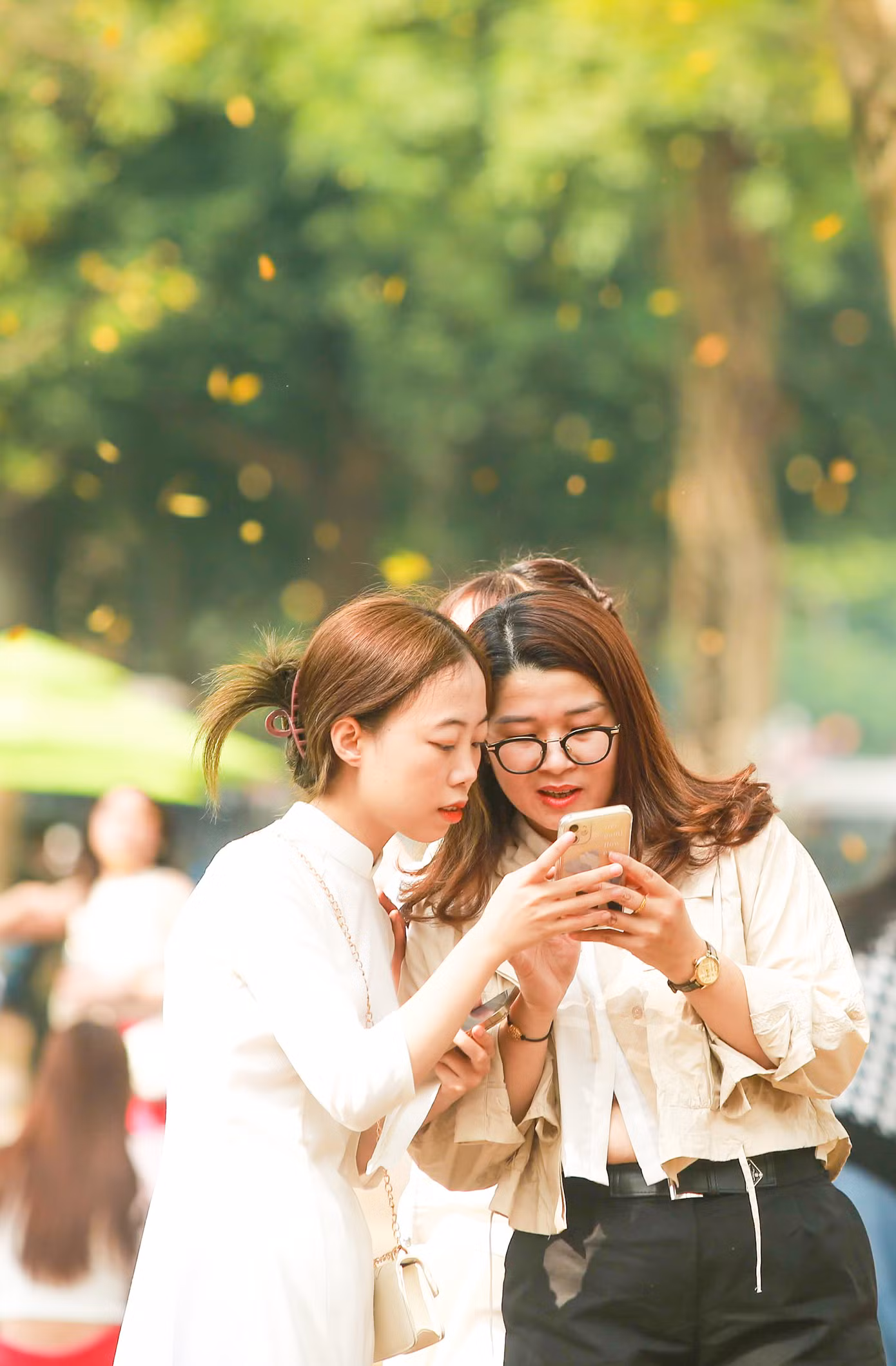 Khung cảnh thơ mộng với thảm lá vàng cùng hàng cây sưa đang đổi mầu vàng ươm ngỡ như xứ sở kim chi để nhiều bạn trẻ thỏa sức chụp hình. Khung cảnh thơ mộng với thảm lá vàng cùng hàng cây sưa đang đổi mầu vàng ươm ngỡ như xứ sở kim chi để nhiều bạn trẻ thỏa sức chụp hình.