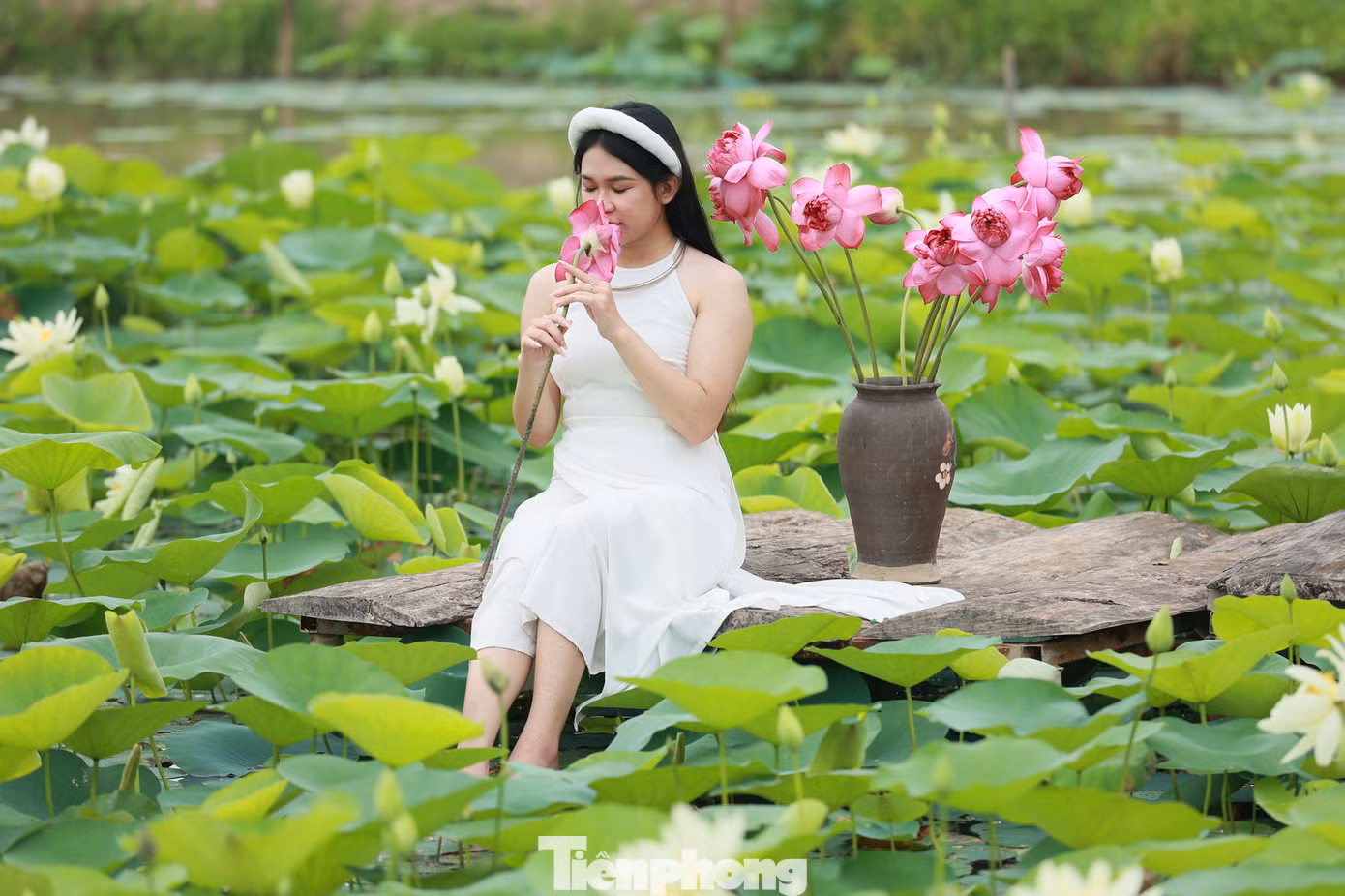Hoa sen chính là biểu tượng của sự trong sáng, thanh cao, mạnh mẽ. Đồng thời hoa sen còn là biểu tượng của tín ngưỡng Phật giáo.