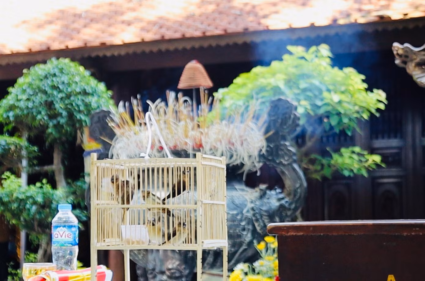 Tại chùa Trấn Quốc, nhiều người dân lựa chọn phóng sinh mong cầu ân đức hiếu tử, đức từ bi theo tôn chỉ nhà Phật. Theo quan niệm dân gian, phóng sinh chính là làm việc thiện và người phóng sinh sẽ được tích đức, nhận lại nhiều may mắn.