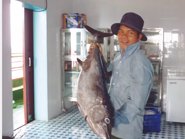 Chú cá thu hơn chục ký Ảnh: VĐ