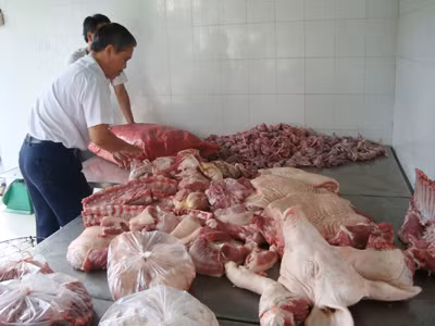 Những vụ bắt giữ heo bẩn chỉ là tảng băng nổi, hàng chục tấn heo bẩn vẫn tìm cách đổ về TPHCM mỗi ngày. Ảnh: L.N