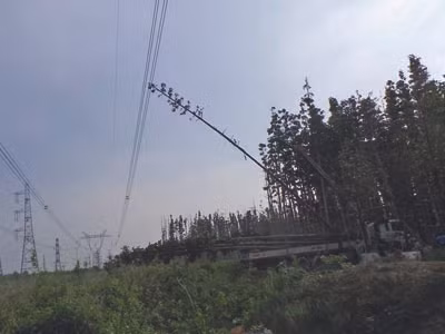 Hiện trường cây chạm vào đường dây 500KV gây mất điện khu vực miền Nam chiều 22/5
