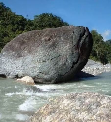 Mỏm đá hình cá tại Nhật Bản