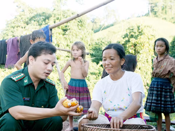 Hướng dẫn bà con kỹ thuật trồng ngô