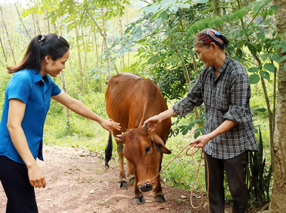 Thời gian qua, huyện Lạng Giang thực hiện có hiệu quả công tác giảm nghèo Thời gian qua, huyện Lạng Giang thực hiện có hiệu quả công tác giảm nghèo