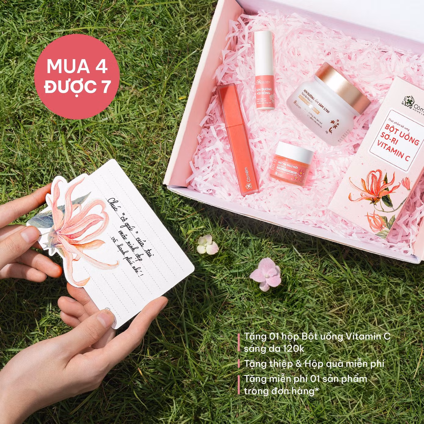 Chương trình khuyến mãi hấp dẫn từ thương hiệu Cỏ Mềm
