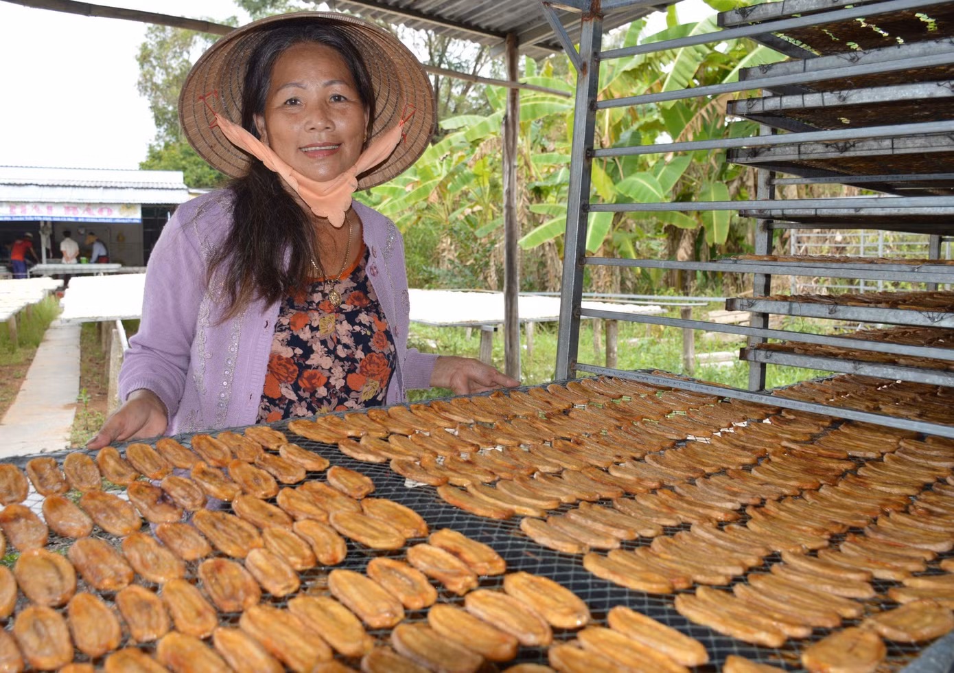 Toàn xã Trần Hợi hiện có 2 cơ sở đã đầu tư máy sấy để chủ động sản xuất nếu điều kiện thời tiết không thuận lợi. Toàn xã Trần Hợi hiện có 2 cơ sở đã đầu tư máy sấy để chủ động sản xuất nếu điều kiện thời tiết không thuận lợi.