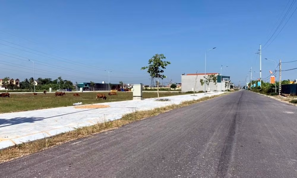 UBND tỉnh Thanh Hóa khuyến khích lựa chọn hình thức đấu giá trực tuyến tại các cuộc đấu giá quyền sử dụng đất trong bối cảnh dịch bệnh diễn biến phức tạp. Ảnh minh họa. UBND tỉnh Thanh Hóa khuyến khích lựa chọn hình thức đấu giá trực tuyến tại các cuộc đấu giá quyền sử dụng đất trong bối cảnh dịch bệnh diễn biến phức tạp. Ảnh minh họa.