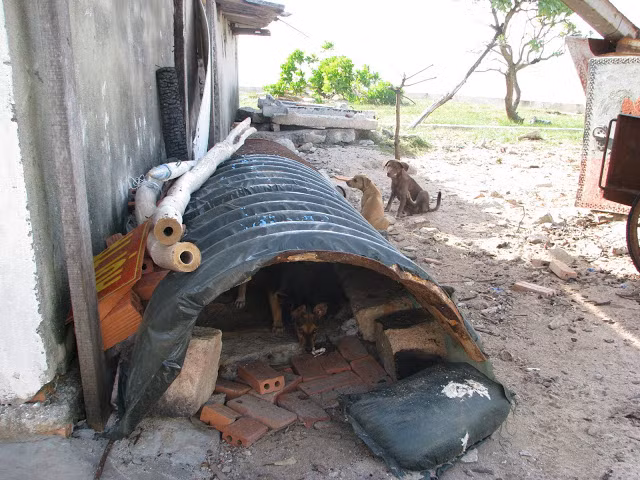 "Hầm trực chiến" của "lực lượng đặc nhiệm.