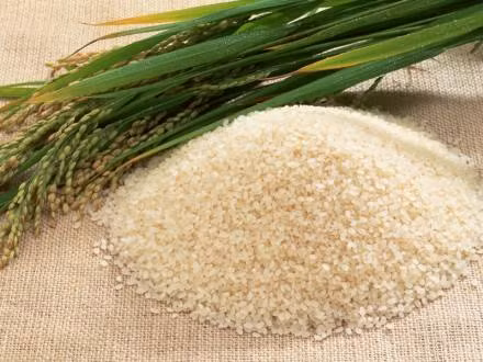 Đã phát hiện loại gạo làm từ khoai lang, khoai tây và nhựa tổng hợp được bày bán ở Trung Quốc