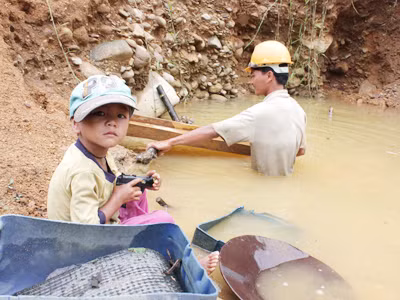 Cậu bé Hồ Văn Phin - tương lai là một phu vàng 