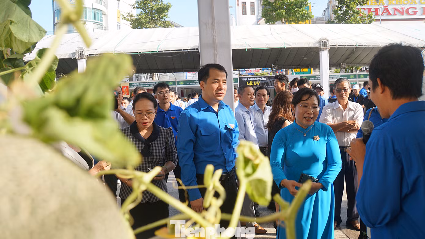Triển lãm còn là cơ hội giới thiệu các sản phẩm nông nghiệp 4.0 của các nhà nông trẻ tiêu biểu; sản phẩm OCOP; sản phẩm công nghiệp nông thôn tiêu biểu; sản phẩm gắn nhãn hiệu địa phương... đến người tiêu dùng. Triển lãm còn là cơ hội giới thiệu các sản phẩm nông nghiệp 4.0 của các nhà nông trẻ tiêu biểu; sản phẩm OCOP; sản phẩm công nghiệp nông thôn tiêu biểu; sản phẩm gắn nhãn hiệu địa phương... đến người tiêu dùng.