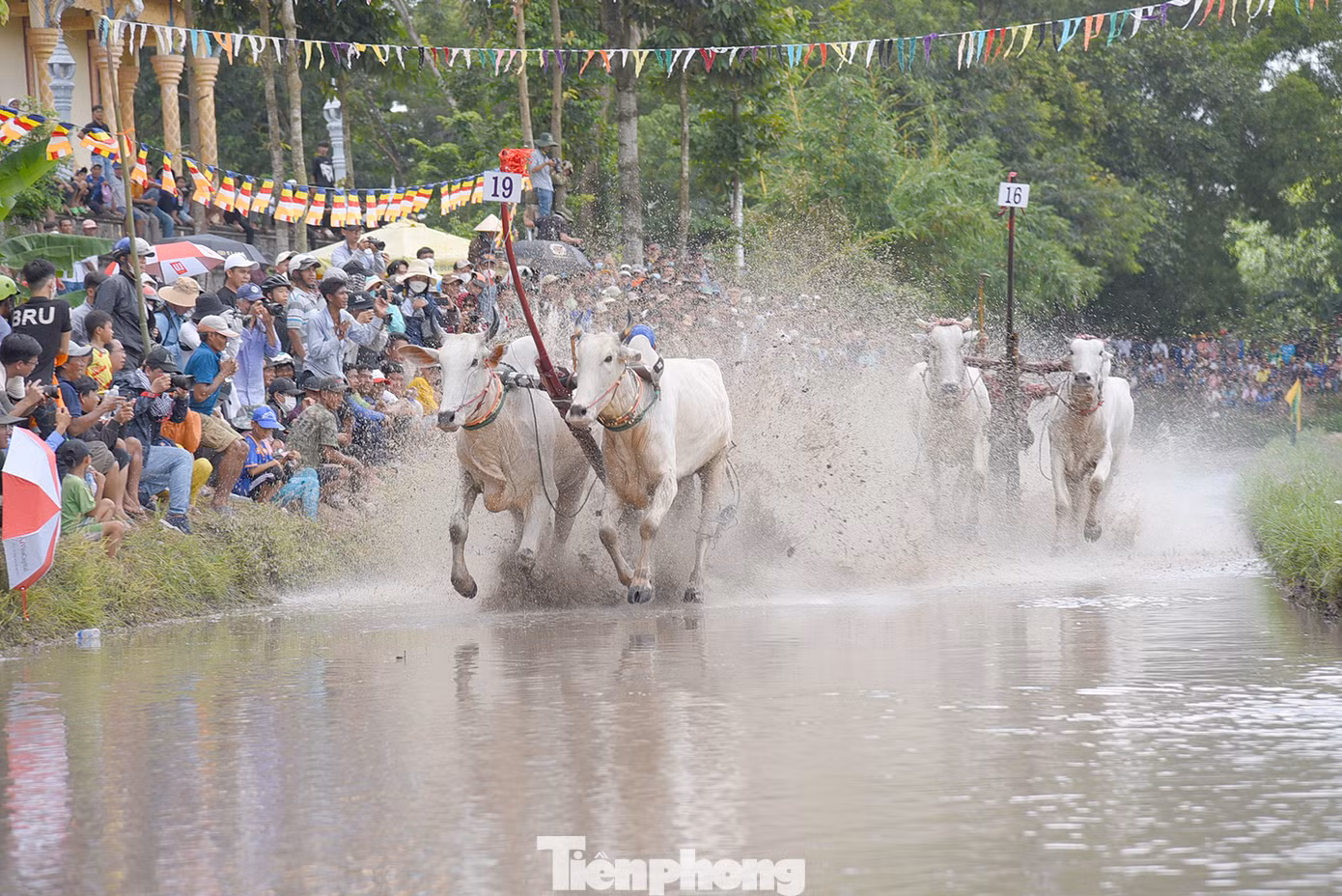 Tranh tài rất gay cấn. Ảnh: Hòa Hội.
