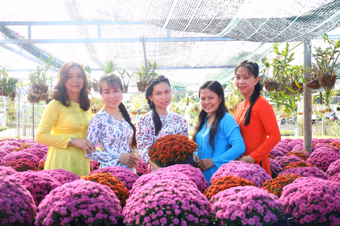 Du khách tham quan làng hoa Sa Đéc. Ảnh: M. Trung. Du khách tham quan làng hoa Sa Đéc. Ảnh: M. Trung.
