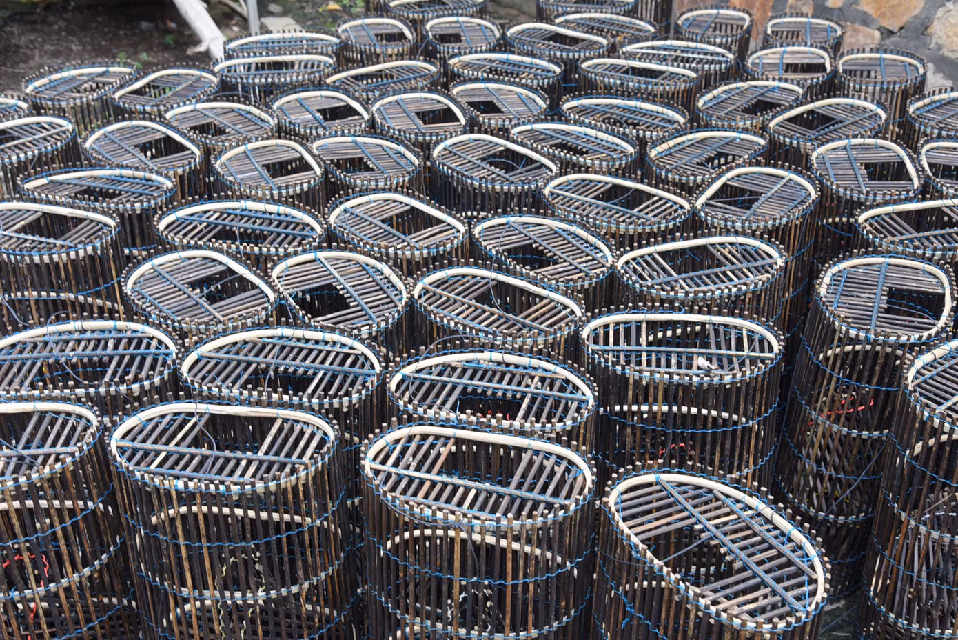 Lọp cua được vợ chồng ông Đỉnh sản xuất phục vụ mùa lũ. Ảnh: Hòa Hội. Lọp cua được vợ chồng ông Đỉnh sản xuất phục vụ mùa lũ. Ảnh: Hòa Hội.