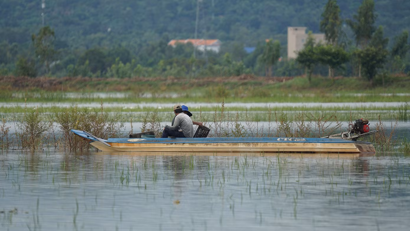 Người dân đặt lợp bắt cá ngoài đồng. Ảnh: Hòa Hội.