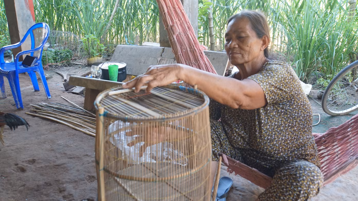 Bà Lê Thị Bảy, năm nay 67 tuổi gắn bó với nghề đan lọp cá linh gần 50 năm nay. Hiện tại, bà vẫn cùng con cháu trong nhà làm lọp cá linh. Ảnh: Hòa Hội. Bà Lê Thị Bảy, năm nay 67 tuổi gắn bó với nghề đan lọp cá linh gần 50 năm nay. Hiện tại, bà vẫn cùng con cháu trong nhà làm lọp cá linh. Ảnh: Hòa Hội.
