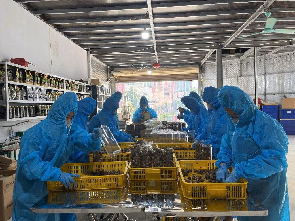 Không chỉ tạo ra sản phẩm có thương hiệu, HTX còn đem lại doanh thu hàng tỷ đồng/năm, tạo việc làm ổn định cho gần 20 lao động địa phương. Không chỉ tạo ra sản phẩm có thương hiệu, HTX còn đem lại doanh thu hàng tỷ đồng/năm, tạo việc làm ổn định cho gần 20 lao động địa phương.