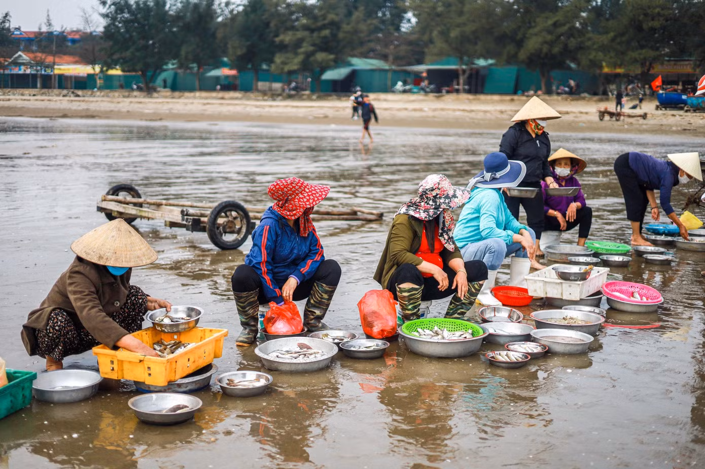 Tôm, cá, mực... sau khi đánh bắt nhanh chóng được ngư dân rao bán ngay tại bãi biển. Thu nhập bình quân khoảng 1 - 2 triệu đồng/người/ngày.