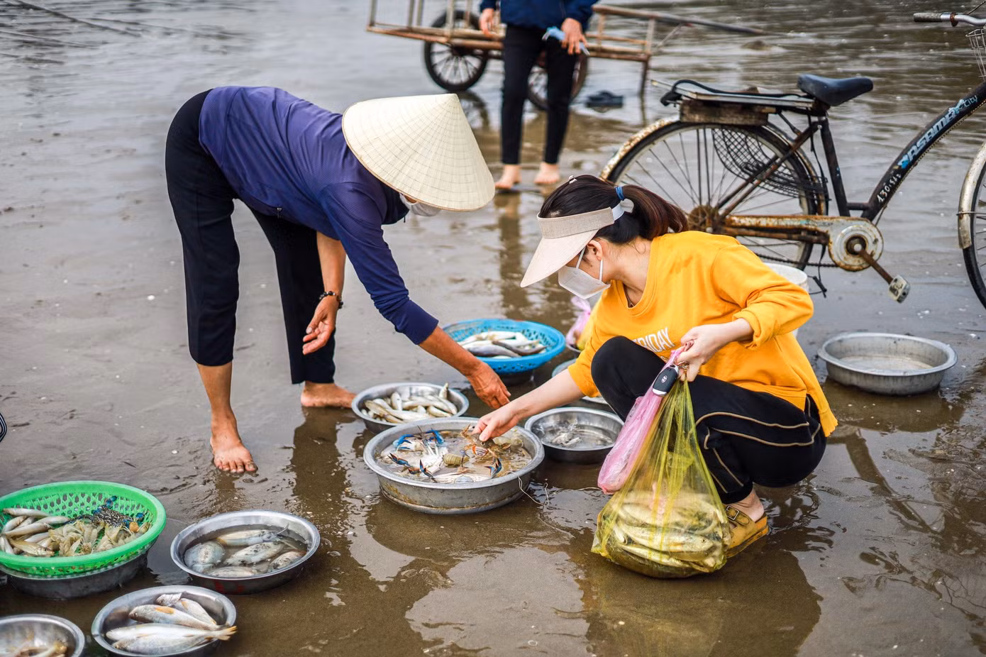 Hải sản tươi sống được du khách tự tay lựa chọn.