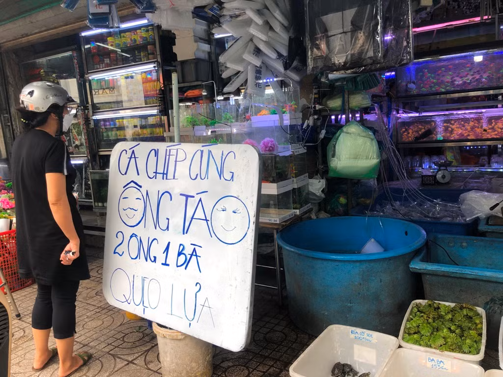 Chiều 13/1 (tức 22 tháng Chạp), trên đường Nguyễn Thông (quận 3, TPHCM), các điểm bán cá cảnh đã treo biển chào mời mua cá chép "2 ông 1 bà" để đưa ông Táo về trời. Theo đó, 3 con cá chép có giá 100.000 đồng được nhiều khách hàng chọn mua. Đây là cá chép cỡ nhỏ bằng 2 ngón tay, trong khi cá chép lớn hơn có giá 50.000 đồng/con. Chiều 13/1 (tức 22 tháng Chạp), trên đường Nguyễn Thông (quận 3, TPHCM), các điểm bán cá cảnh đã treo biển chào mời mua cá chép "2 ông 1 bà" để đưa ông Táo về trời. Theo đó, 3 con cá chép có giá 100.000 đồng được nhiều khách hàng chọn mua. Đây là cá chép cỡ nhỏ bằng 2 ngón tay, trong khi cá chép lớn hơn có giá 50.000 đồng/con.