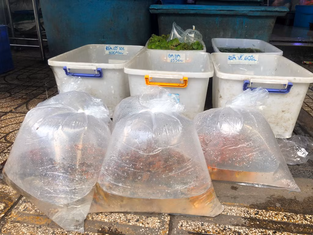 Cá chép tiễn Táo quân. Cá chép tiễn Táo quân.