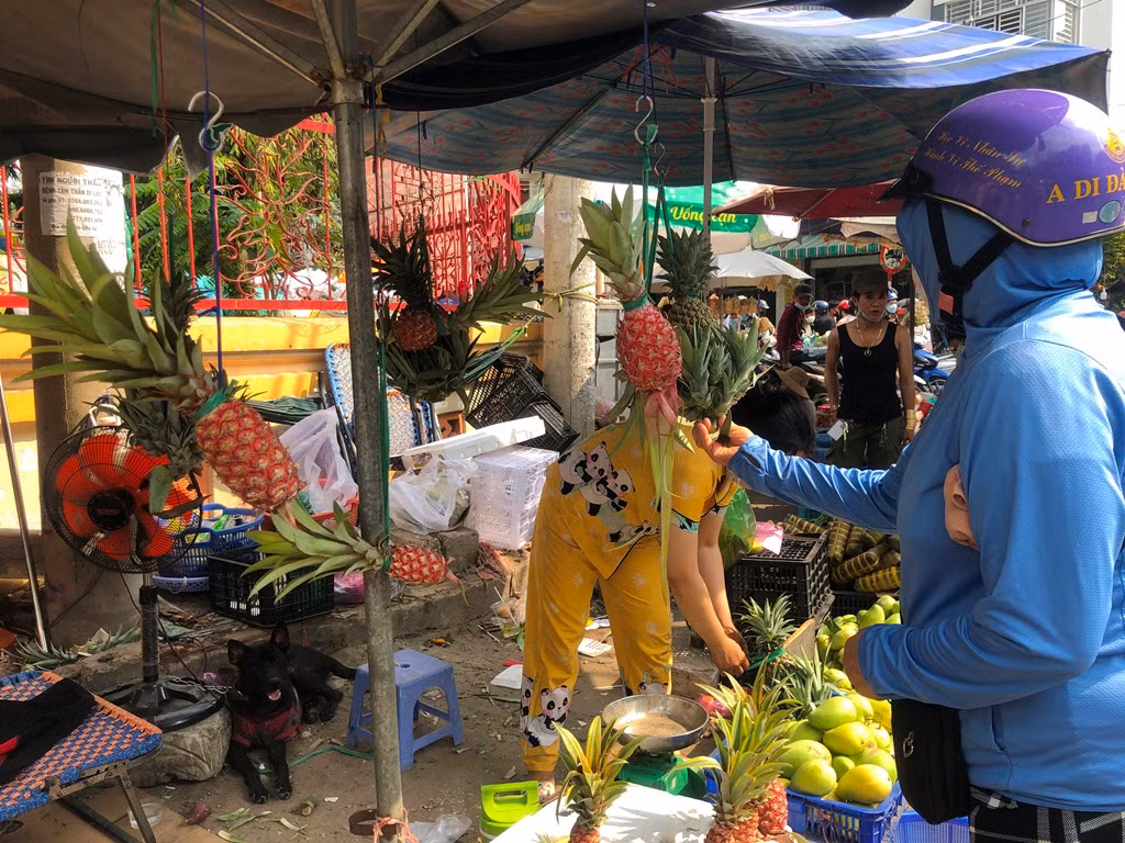 Tại chợ Bà Chiểu (quận Bình Thạnh), các loại khóm đỏ, khóm đầu rồng... được treo cao cho khách dễ lựa chọn. So với hôm qua, sáng nay các mặt hàng trái cây đều tăng giá thêm từ 10.000-30.000 đồng (tùy loại), như cam canh 70.000 đồng/kg, nay tăng lên 100.000 đồng/kg, bưởi da xanh 100.000 đồng/kg cũng đã có giá mới 120.000 đồng/kg...
