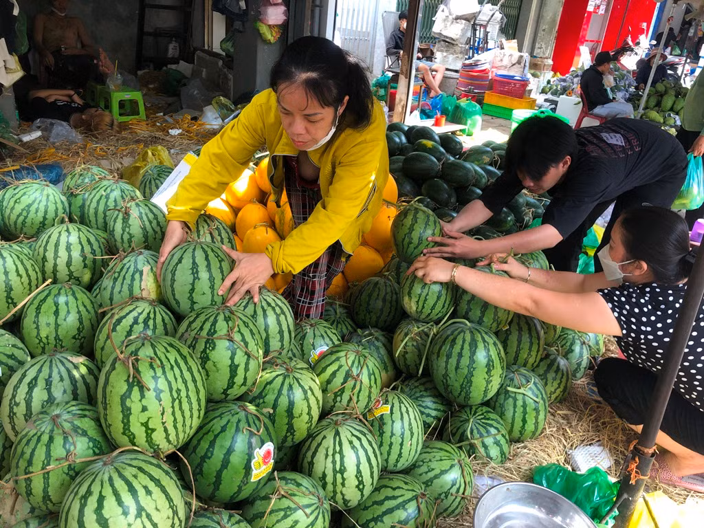 Dưa hấu có giá 20.000-25.000 đồng/kg.