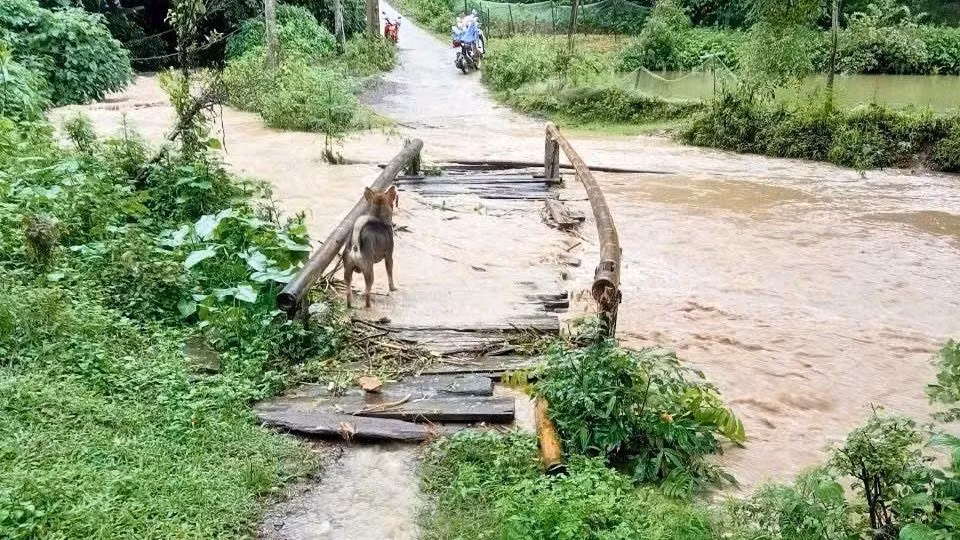 Khánh thành cầu thiện nguyện Nà Dài - Bình Anh: Nối yêu thương, mở đường làm ăn cho dân bản ảnh 3