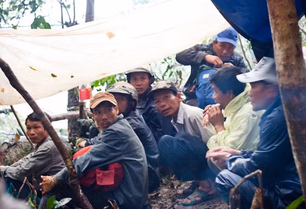 Một nhóm người săn kỳ nam quê ở Vạn Ninh cùng ngồi chờ mưa tạnh trong túp lều tạm bợ giữa rừng. Một nhóm người săn kỳ nam quê ở Vạn Ninh cùng ngồi chờ mưa tạnh trong túp lều tạm bợ giữa rừng