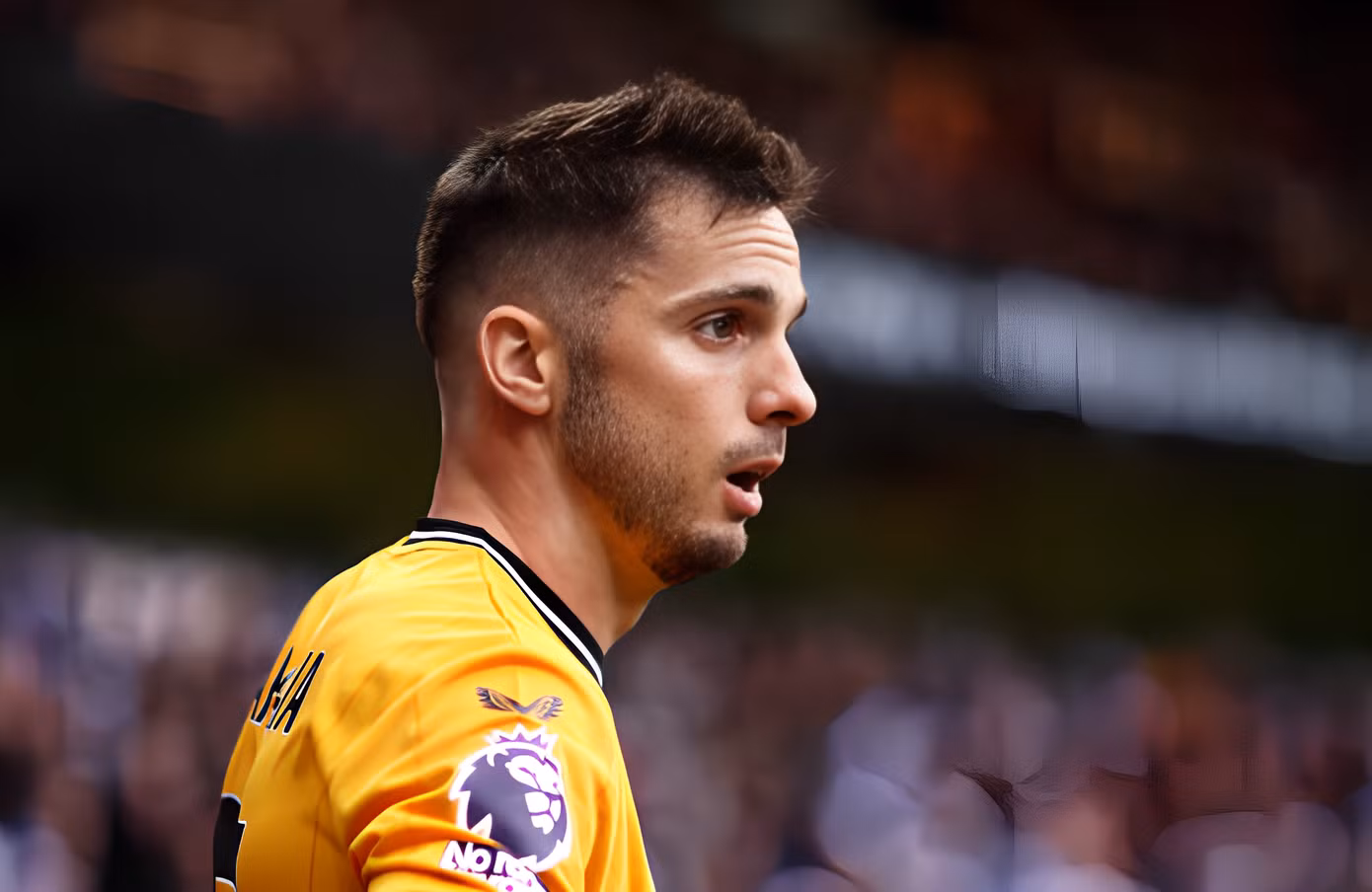Wolves khiến Chelsea nhận 'chén đắng' đêm Giáng sinh ảnh 8 Wolves khiến Chelsea nhận 'chén đắng' đêm Giáng sinh ảnh 8