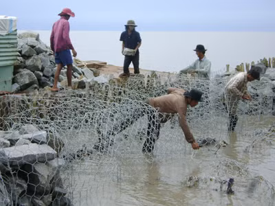 Xây dựng bờ kè chắn sóng, tạo bãi bồi, khôi phục rừng tuyến đê biển Tây đang được cân nhắc để áp dụng chống sạt lở cho Mũi Cà Mau