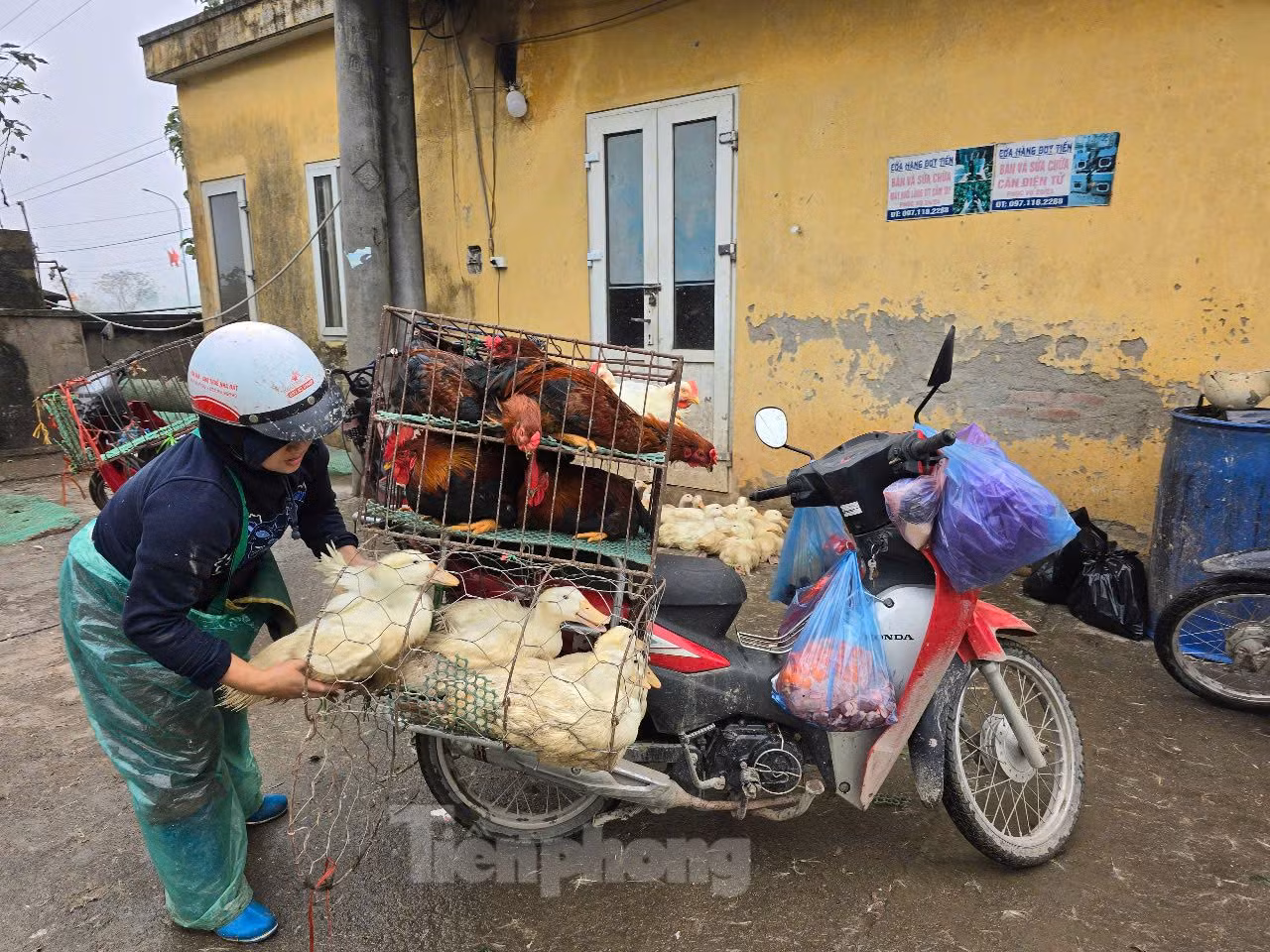 Theo ghi nhận ngày 20/2, việc buôn bán của tiểu thương tại chợ Hà Vĩ rất nhộn nhịp. Hầu hết, tiểu thương đều thực hiện các biện pháp phòng chống dịch bệnh, như đeo khẩu trang, dọn vệ sinh. Bà Nguyễn Thị Vương, một tiểu thương cho biết, những năm gần đây chính quyền kiểm tra nguồn gốc xuất xứ rất nghiêm và xử phạt nặng nếu vi phạm. Do đó, tiểu thương đều mua bán gia cầm có nguồn gốc, xuất xứ và thực hiện các biện pháp phòng dịch đầy đủ. Bởi nếu dịch bệnh xảy ra tiểu thương là người bị ảnh hưởng đầu tiên, bà Vương chia sẻ. Theo ghi nhận ngày 20/2, việc buôn bán của tiểu thương tại chợ Hà Vĩ rất nhộn nhịp. Hầu hết, tiểu thương đều thực hiện các biện pháp phòng chống dịch bệnh, như đeo khẩu trang, dọn vệ sinh. Bà Nguyễn Thị Vương, một tiểu thương cho biết, những năm gần đây chính quyền kiểm tra nguồn gốc xuất xứ rất nghiêm và xử phạt nặng nếu vi phạm. Do đó, tiểu thương đều mua bán gia cầm có nguồn gốc, xuất xứ và thực hiện các biện pháp phòng dịch đầy đủ. Bởi nếu dịch bệnh xảy ra tiểu thương là người bị ảnh hưởng đầu tiên, bà Vương chia sẻ.