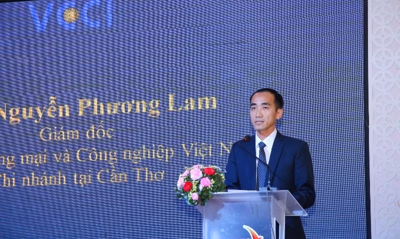 VCCI xếp năng lực cạnh tranh Đồng bằng sông Cửu Long thế nào? ảnh 1