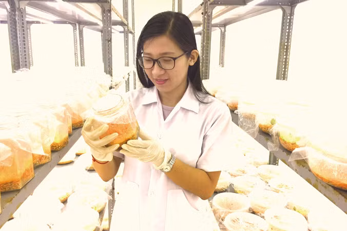 Ðường đi không trải thảm ảnh 4