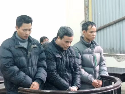 Các bị cáo trong phiên tòa