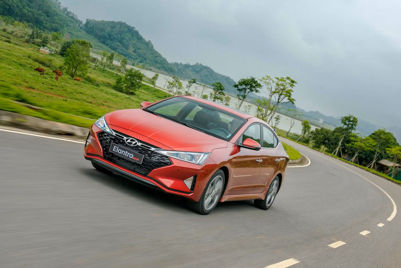 Hyundai Elantra và Tucson 2019 bắt đầu bán ở Việt Nam ảnh 3