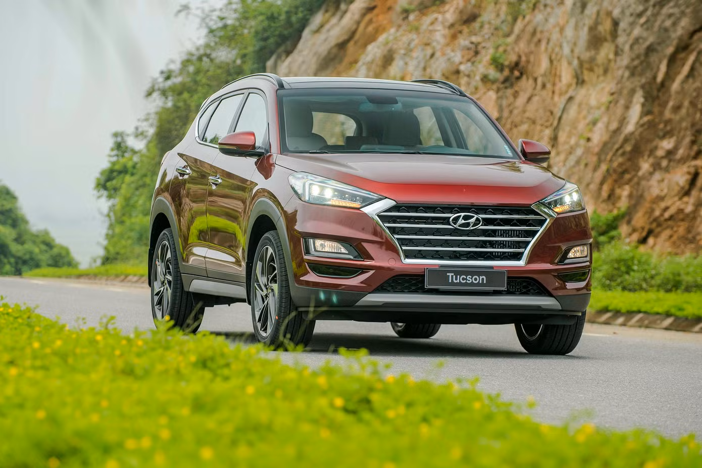 Hyundai Elantra và Tucson 2019 bắt đầu bán ở Việt Nam ảnh 4
