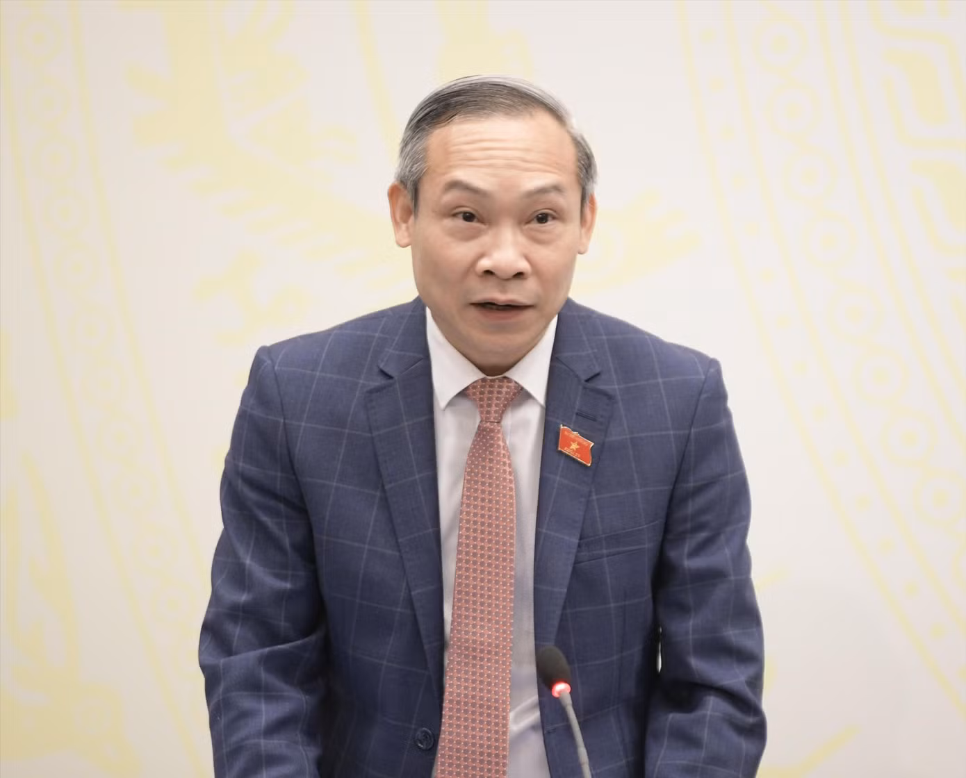 Ủy viên Thường trực Ủy ban Kinh tế Phan Đức Hiếu. Ủy viên Thường trực Ủy ban Kinh tế Phan Đức Hiếu.