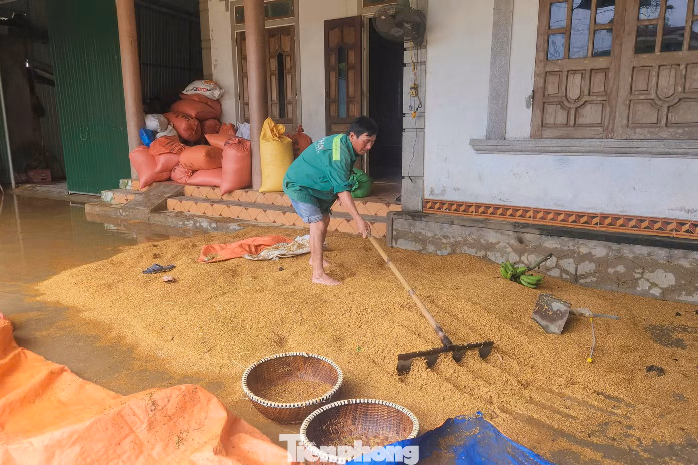 Lũ rút, người dân các xã bị ngập ở huyện Cẩm Xuyên, Thạch Hà... cố phơi lại lúa, giảm thiệt hại do thiên tai gây ra. Lũ rút, người dân các xã bị ngập ở huyện Cẩm Xuyên, Thạch Hà... cố phơi lại lúa, giảm thiệt hại do thiên tai gây ra.