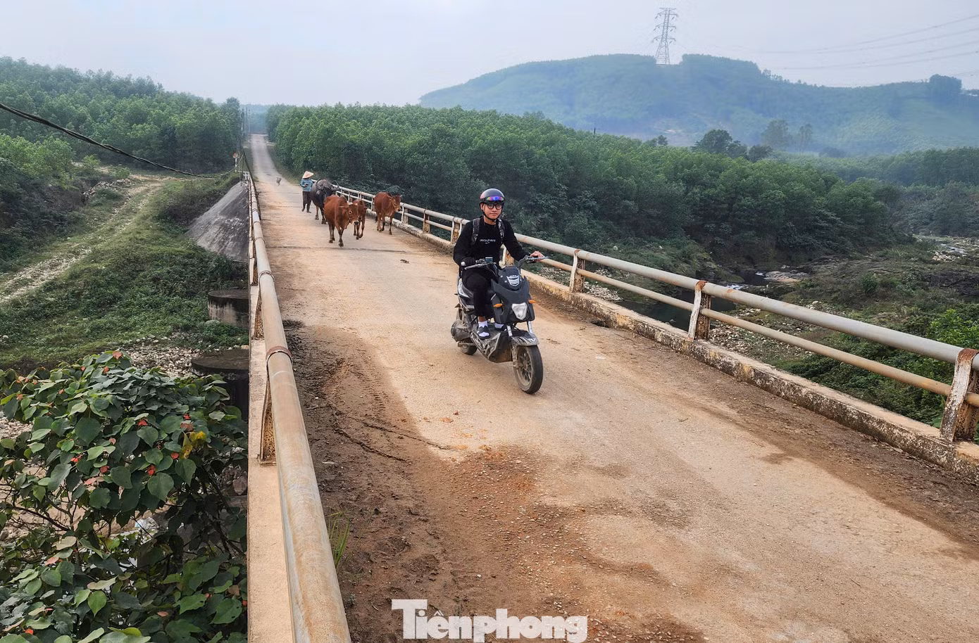 Người dân địa phương cho biết cầu có vai trò quan trọng trong giao thông, phát triển kinh tế. Tuy nhiên, các đợt mưa lũ lớn những năm qua khiến cầu bị xói lở trụ, mố cầu.