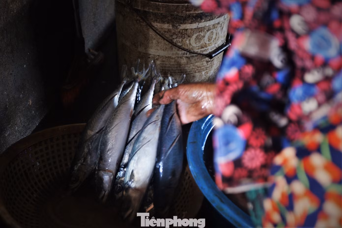 “Ngày Tết người đặt hàng cá nướng sẽ nhiều gấp đôi ngày thường nên ai nấy phải làm liên tục để kịp số lượng khách đặt. Cá nướng ở vùng này thơm ngon, đủ loại kích cỡ với giá bình dân nên được khách ở trong và ngoài tỉnh đặt mua”, bà Thương (58 tuổi) cho hay.