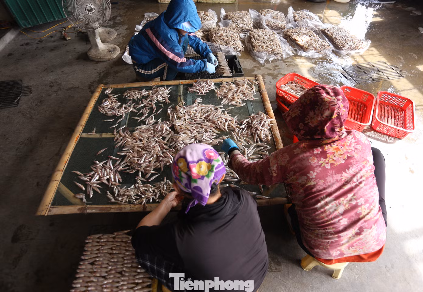 Trung bình mỗi lò tại đây có thể nướng từ 2-3 tạ cá/ngày, tùy số lượng khách đặt, có bao nhiêu nướng bấy nhiêu. Nhất là vào dịp Tết Nguyên đán, cá nướng tiêu thụ số lượng lớn hơn so với những ngày bình thường.