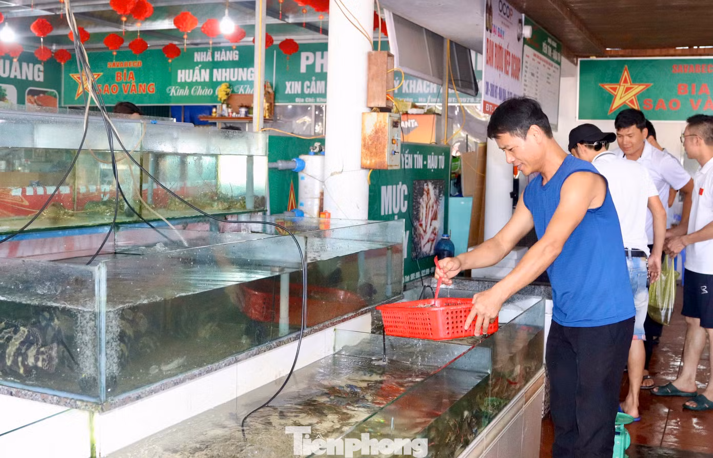 Tại các khu du lịch biển ở Hà Tĩnh, các mặt hàng hải sản tươi sống trên thị trường đang được tiêu thụ mạnh. Giá bán mặt hàng này cũng tăng cao so với ngày thường, đặc biệt là các loại hải sản cao cấp. Tại các khu du lịch biển ở Hà Tĩnh, các mặt hàng hải sản tươi sống trên thị trường đang được tiêu thụ mạnh. Giá bán mặt hàng này cũng tăng cao so với ngày thường, đặc biệt là các loại hải sản cao cấp.