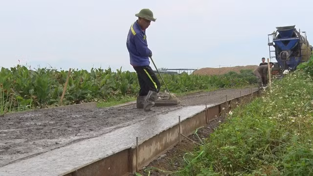 Bê tông hóa đường nội đồng tại xã Minh Quang (huyện Ba Vì) tạo điều kiện thuận lợi cho sản xuất nông nghiệp