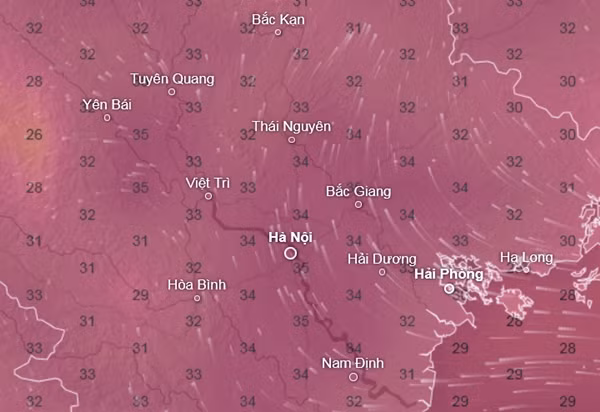 Dự báo nhiệt độ cảm nhận ở một số tỉnh thành miền Bắc vào những ngày giữa tháng này (khoảng 14 - 15/11 đến 18 - 19/11): Trời khá nóng. Ảnh: Ventusky, GFS.