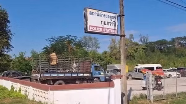 Xe tải của tài xế gây tai nạn đỗ ở sân sau của đồn cảnh sát. Ảnh: Khaosod.